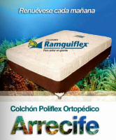 Portada Catálogo Ramguiflex